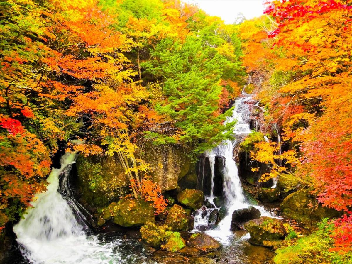 Side 3* Nikko